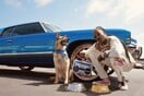 After rapper launches pet accessory brand, now your dog can dress like Snoop Dogg