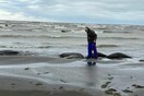 Εντοπίστηκαν 1.700 νεκρές φώκιες στις ακτές της Κασπίας Θάλασσας