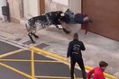 Η στιγμή που άνδρας δέχεται επίθεση από ταύρο- Νοσηλεύεται σε σοβαρή κατάσταση με τραύματα σε κεφάλι και χέρι