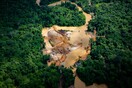 Βραζιλία: Χρυσοθήρες χάραξαν παράνομο δρόμο στον Αμαζόνιο με εκσκαφείς 