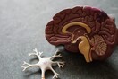 Ένας υπερυπολογιστής προβλέπει σοβαρές εγκεφαλικές αιμορραγίες πριν συμβούν