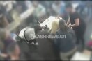 Τριαθλητής έσωσε γυναίκα που πνιγόταν με τη λαβή Χάιμλιχ - Συγκλονιστικό το βίντεο της διάσωσης