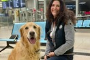 Γερμανία: Σκυλάκια με τους ιδιοκτήτες του βρήκαν «καταφύγιο» από τα βεγγαλικά σε αεροδρόμιο