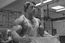 O Άρνολντ Σβαρτσενέγκερ έδωσε δωρεάν συμβουλές για διατροφή και πρόγραμμα bodybuilding
