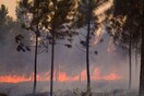 Κούβα: Τεράστιες δασικές πυρκαγιές μαίνονται στα ανατολικά της χώρας
