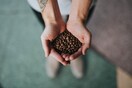Η κλιματική κρίση επηρεάζει την παραγωγή καφέ - «Κίνδυνος οι καλλιέργειες να μειωθούν στο μισό»