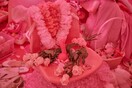 Δονητές, ταμπόν και ψεύτικα νύχια: Mέσα στο ροζ υπνοδωμάτιο της Portia Munson