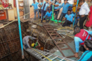 Ινδία: 35 νεκροί από κατάρρευση ναού - Επεσαν σε πηγάδι	