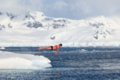 Γιώργος Τσιάνος: Ο Έλληνας γιατρός που κολύμπησε στην Ανταρκτική για την κλιματική αλλαγή