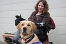 Μια μέρα από τη ζωή της Lorna και της Eli, του σκύλου-βοηθού της
