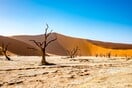 Κλιματική αλλαγή: Η χειρότερη ξηρασία εδώ και 40 χρόνια στο Κέρας της Αφρικής