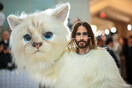 Met Gala 2023: Ο Τζάρεντ Λέτο εντυπωσίασε με στολή γάτας σε φυσικό μέγεθος 