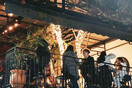 Bocas the bar