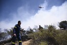 Μεγάλη φωτιά στην Ανάβυσσο- 57 πυροσβέστες, κλειστός ο δρόμος