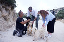 Ο Μητσοτάκης στο «Takis Shelter»: «Ψηλά στην ατζέντα η προστασία των ζώων»