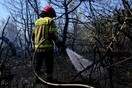 Ασπρόπυργος: Φωτιά κοντά στην Περιφερειακή Αιγάλεω