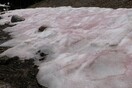 Γιατί το χιόνι έκανε τα βουνά της Γιούτα ροζ