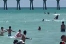 Φλόριντα: Καρχαρίας κολυμπούσε κοντά στις ακτές - Πανικός σε παραλία