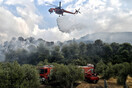 Φωτιά στην Ψάθα - Ενισχυμένες δυνάμεις της πυροσβεστικής και ρίψεις νερού από αέρος 