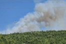 Φωτιά στον Ωρωπό: Ενισχύονται οι πυροσβεστικές δυνάμεις - Έκλεισαν δρόμοι
