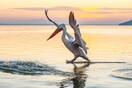 Birdwatching, σπηλαιοκαταδύσεις, μπάνιο σε καταρράκτες: Η άλλη πλευρά της Μεσσηνίας