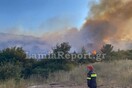 Φωτιά στη Λαμία - Σηκώθηκαν πέντε εναέρια μέσα