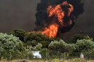 Φωτιές - Θα χρειαστούν ως και 30 χρόνια για να αποκατασταθούν τα οικοσυστήματα, λέει καθηγητής Δασολογίας