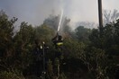 Φωτιά στην Λέσβο: Στο ίδιο σημείο για δεύτερη φορά μέσα σε λίγες μέρες 