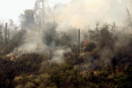 Φωτιά στο Αίγιο: Εκκενώνεται χωριό- Μήνυμα από το 112