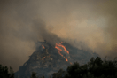 Φωτιά στην Κάρυστο: Πολύ δύσκολη η κατάσταση- «Μας περιμένει δύσκολη νύχτα»