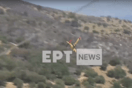 Πτώση Canadair στην Κάρυστο: Η ανακοίνωση της Πολεμικής Αεροπορίας