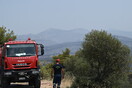 Φωτιά στο Τατόι, κοντά στο αεροδρόμιο