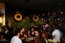 Μαύρος Γάτος: Tropical Party 