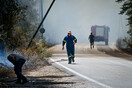 Φωτιές στη Ηλεία: Πλήθος καταγγελιών για «εμπρησμό» - «Είναι η έκτη μέρα που επιχειρούν να μας κάψουν»