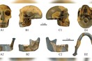 Βρέθηκε κρανίο 300.000 ετών - Και δεν μοιάζει με κανένα από τα πρώιμα ανθρώπινα όντα