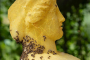 Μέλισσες σε ρόλο γλύπτη: Τα εντυπωσιακά έργα μίας απρόσμενης «συνεργασίας»