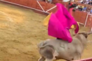 Ισπανία: Η στιγμή που ταύρος εκτοξεύει στον αέρα ταυρομάχο- Με αεροδιακομιδή στο νοσοκομείο