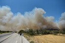 Φωτιά στην Αλεξανδρούπολη: Απανωτά τα μηνύματα από το 112 για εκκενώσεις