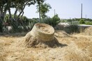 Έβδομη επιστολή του Βρασίδα Καραλή σε μένα