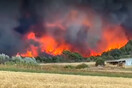Φωτιά στην Αλεξανδρούπολη: Απειλείται το δάσος της Δαδιάς - «Χιονίζει» στάχτη στο κέντρο της