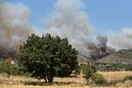 Φωτιά στην Αλεξανδρούπολη: Μεγάλη αναζωπύρωση στη Νίψα- Το πιο επικίνδυνο μέτωπο