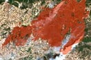 Φωτιά στην Αλεξανδρούπολη: Οικολογική καταστροφή με εκτιμήσεις για 75.000 καμένα στρέμματα