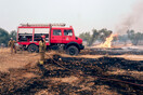 Φωτιά στην Εύβοια: Σε ένα μέτωπο κινείται η πυρκαγιά - Πέφτουν οι ισχυροί άνεμοι