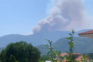 Φωτιά σε Μακρυκώμη Φθιώτιδας και Κρυονέρι Αιτωλοακαρνανίας