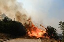 Πάνω από 400.000 στρέμματα κάηκαν μέσα σε 3 ημέρες - Από τις φωτιές σε όλη τη χώρα