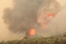 Φωτιές σε Καβάλα και Κομοτηνή: Μήνυμα 112 για εκκενώσεις οικισμών