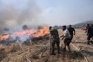 CHECK Δασικές πυρκαγιές: πύρινη κόλαση με νέα αρνητικά ρεκόρ 