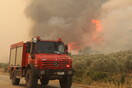 Φωτιά στην Αλεξανδρούπολη: Συνεχείς αναζωπυρώσεις- Ήχησε ξανά το 112