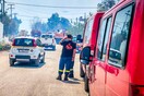 Νέα φωτιά στη Βοιωτία- 24 πυροσβέστες και εναέρια μέσα στην κατάσβεση