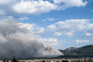 Φωτιά στην Πάρνηθα: Οι φλόγες φτάνουν στον Εθνικό Δρυμό